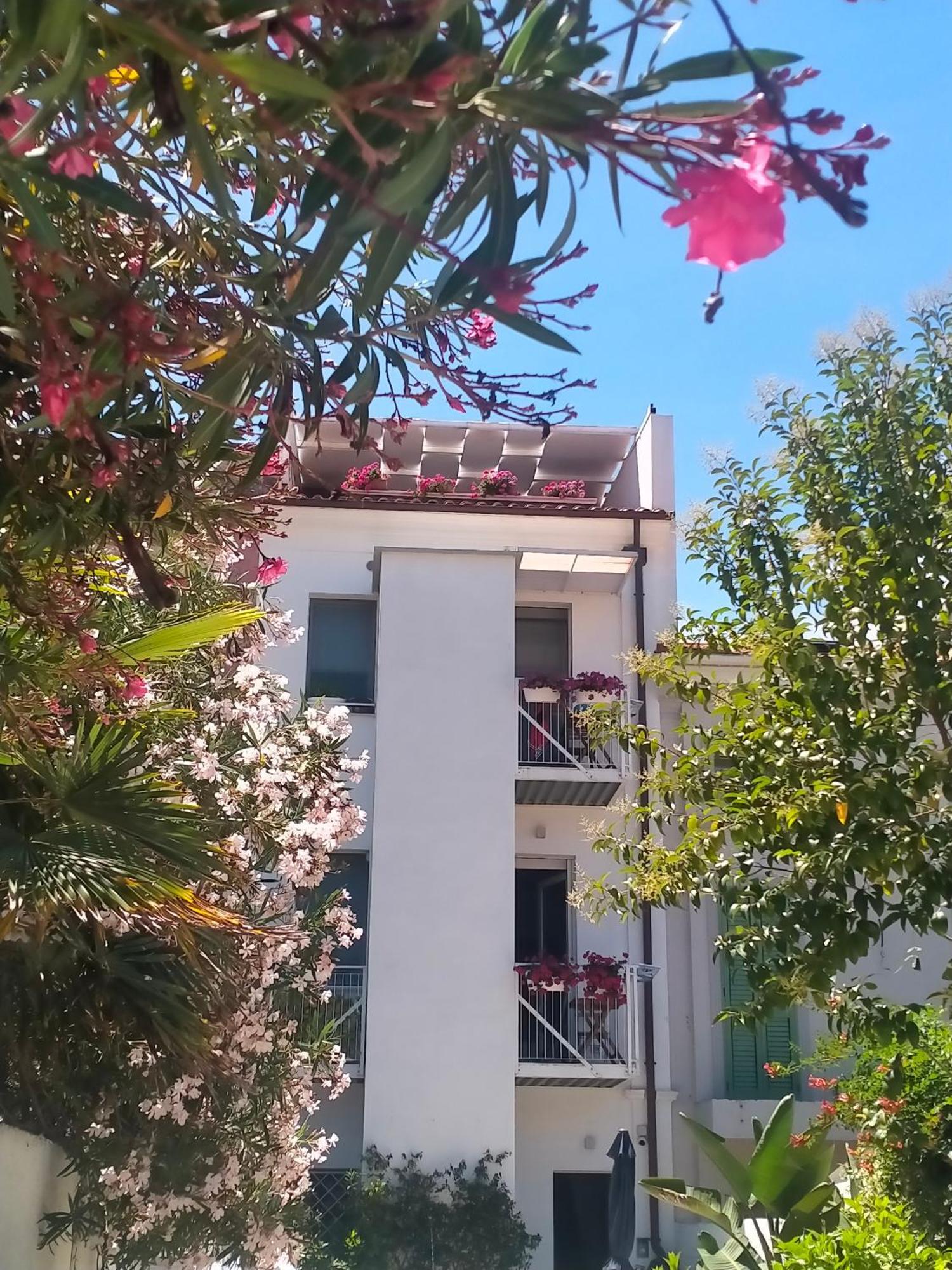 Bed & Breakfast Previsto Sole